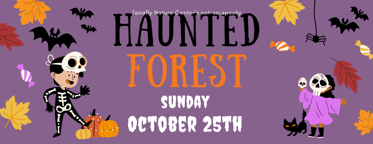 Haunted Forest Tour at 2:00 pm